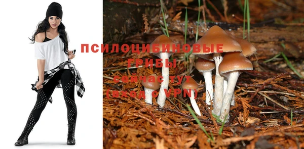 первитин Алексеевка